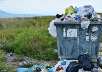 In a world first, scientists have engineered a bacteria that turns plastic into vanilla flavouring. Photo: Supplied/Food For Mzansi