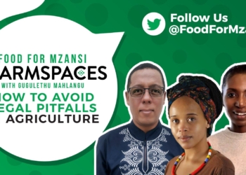 Join us at 6 pm this evening to learn more about legal pitfalls in agriculture. Photo: Supplied/Food for Mzansi.