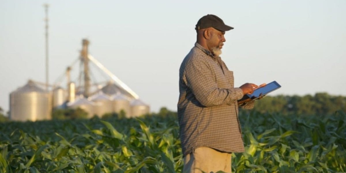 HelloChoice builds market efficiency and promotes economic prosperity by digitising the wholesale trade and distribution of agricultural produce. Photo: Supplied/Food For Mzansi