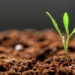 The role of soil carbon in climate mitigation