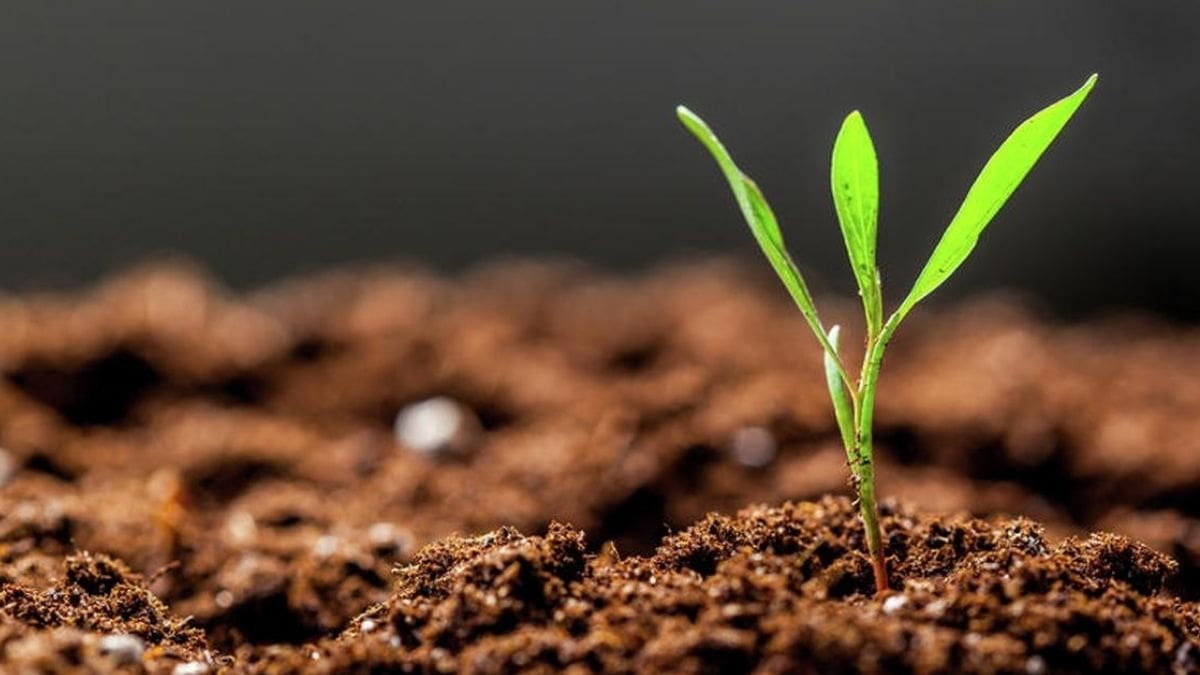 The role of soil carbon in climate mitigation - Vimarsana News
