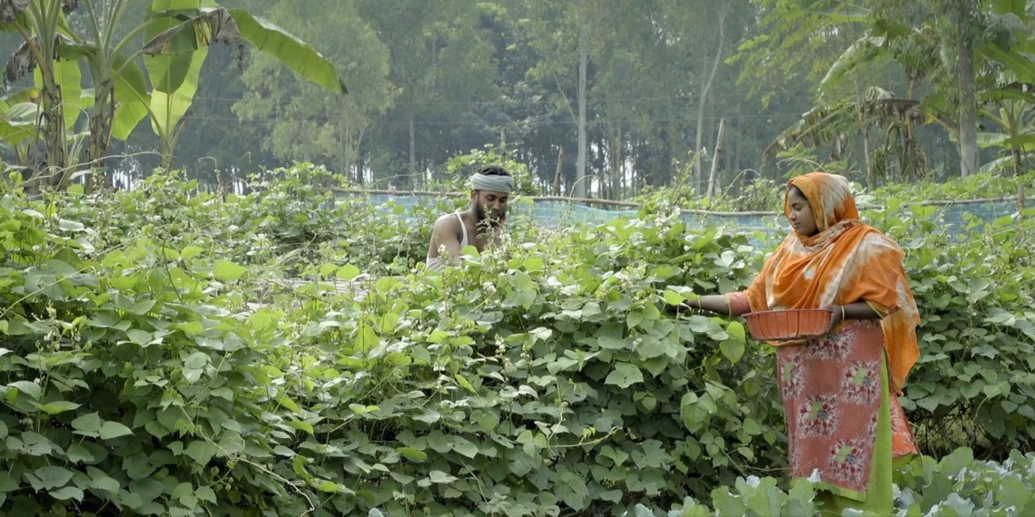 ecological farming
