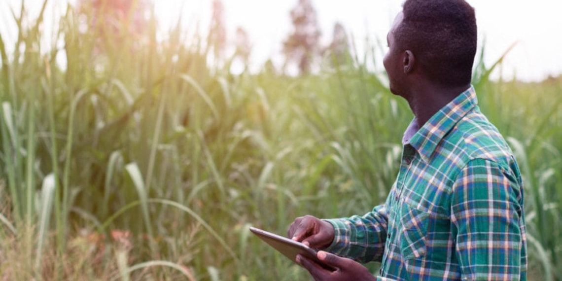 New agri age: Traditional slowly makes way for technology