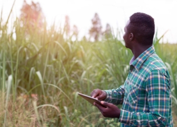 New agri age: Traditional slowly makes way for technology