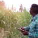 New agri age: Traditional slowly makes way for technology