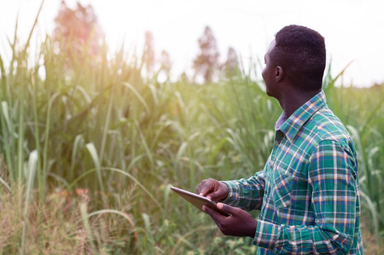 New agri age: Traditional slowly makes way for technology - Food For Mzansi
