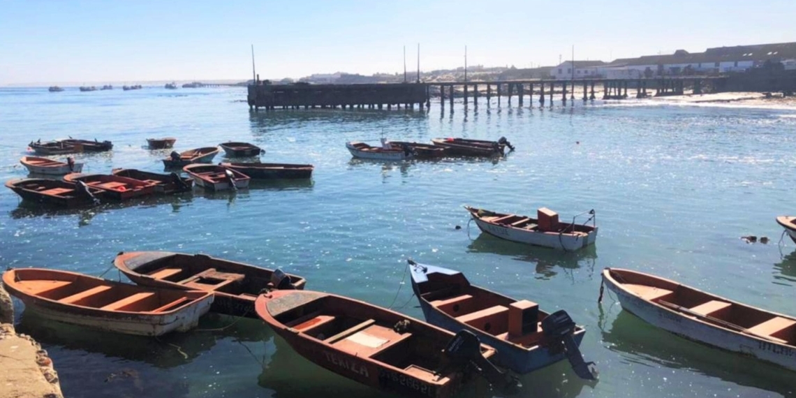 Small-scale fishers say they should enjoy preference over commercial fishers as quotas are their only bread and butter. Photo: Supplied/Food For Mzansi