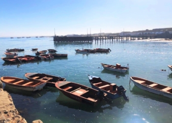 Small-scale fishers say they should enjoy preference over commercial fishers as quotas are their only bread and butter. Photo: Supplied/Food For Mzansi