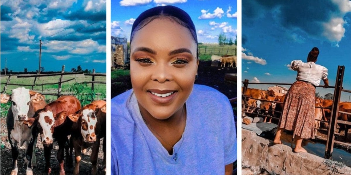 We didn't say it. The pictures said it. You simply cannot fake passion for farming business. See for yourself by having a look at these inspiring pics from Keneilwe Raphesu. Photos: Supplied/Keneilwe Raphesu