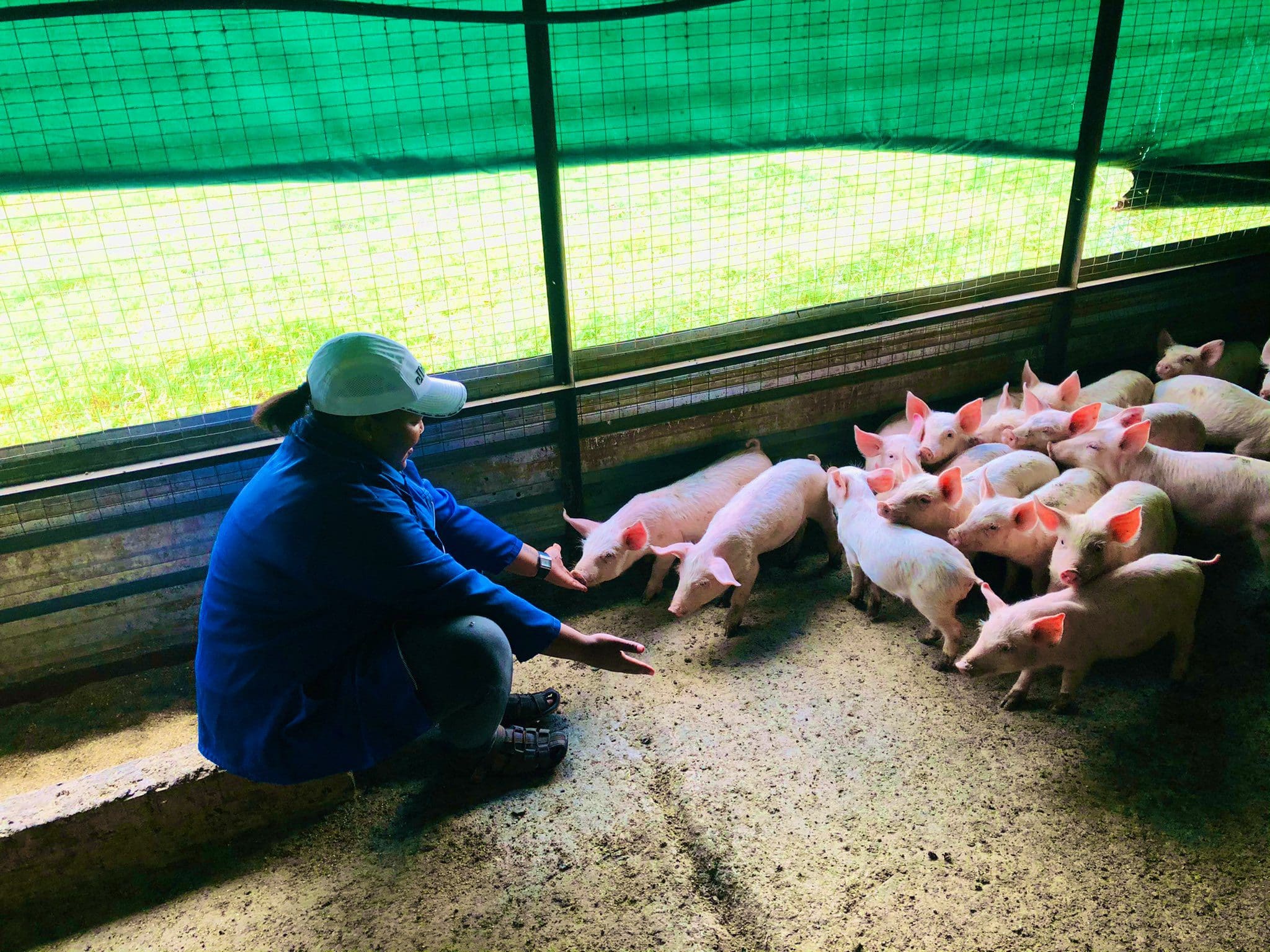 You can't fake passion: Farmer Keneilwe Raphesu