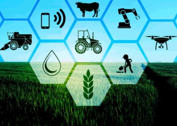 Nanotechnology can improve farming efficiency without the need for new infrastructure. Photo: Supplied/Food For Mzansi