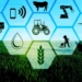 Nanotechnology can improve farming efficiency without the need for new infrastructure. Photo: Supplied/Food For Mzansi
