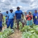 Ndela Farming is a produce powerhouse.