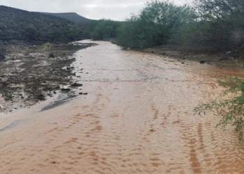 Social media was awash with photos and happy comments last week as rain fell across the water-starved Northern Cape. Photo: Charles Wylie/Facebook