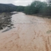 Social media was awash with photos and happy comments last week as rain fell across the water-starved Northern Cape. Photo: Charles Wylie/Facebook