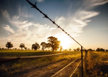 Some agri roleplayers are of the view that the South African Police Service (SAPS) lacks a sense of seriousness when it comes to implementing the National Rural Safety Strategy. Photo: Supplied/Food For Mzansi