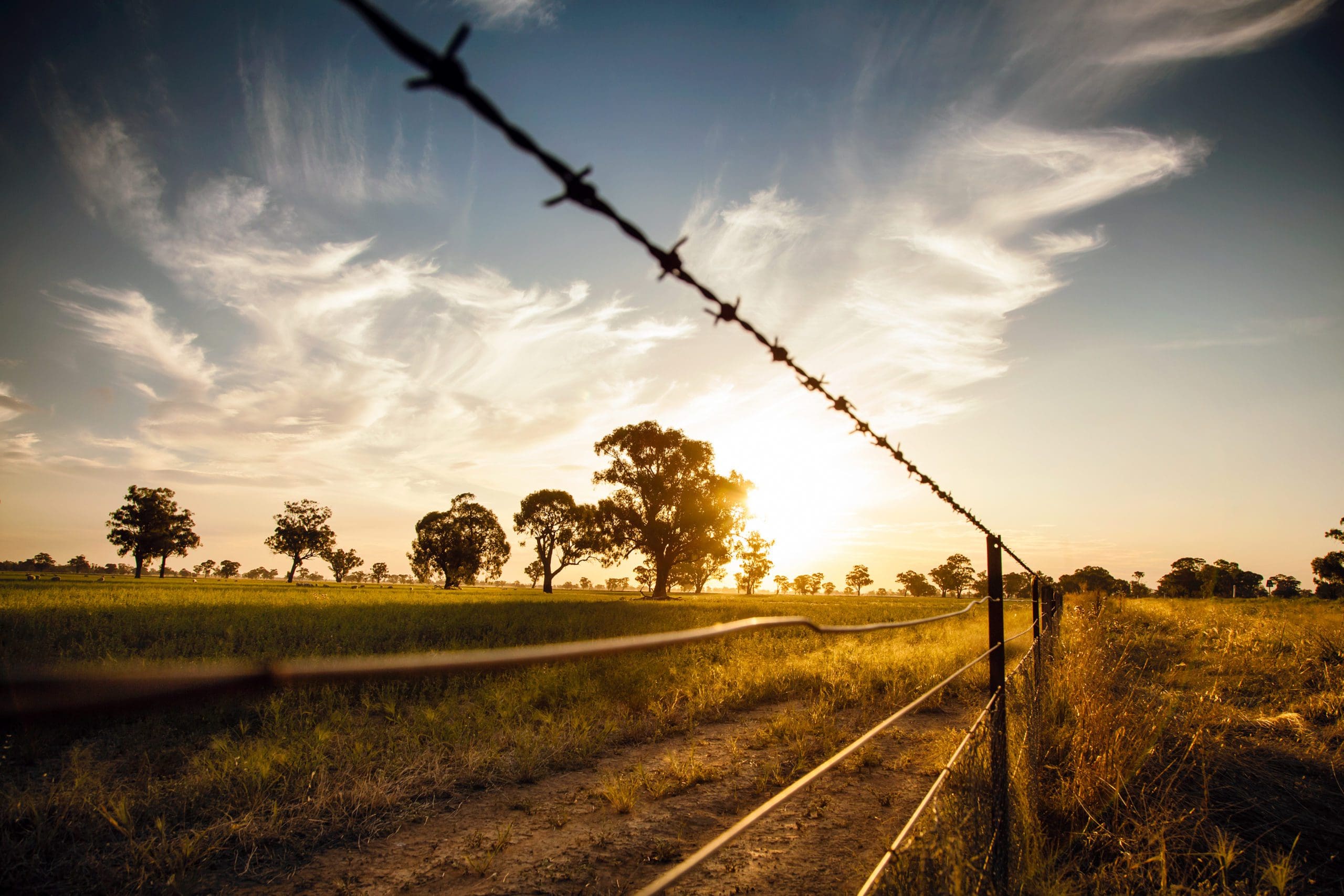 SA's rural safety strategy remains in question - Vimarsana News