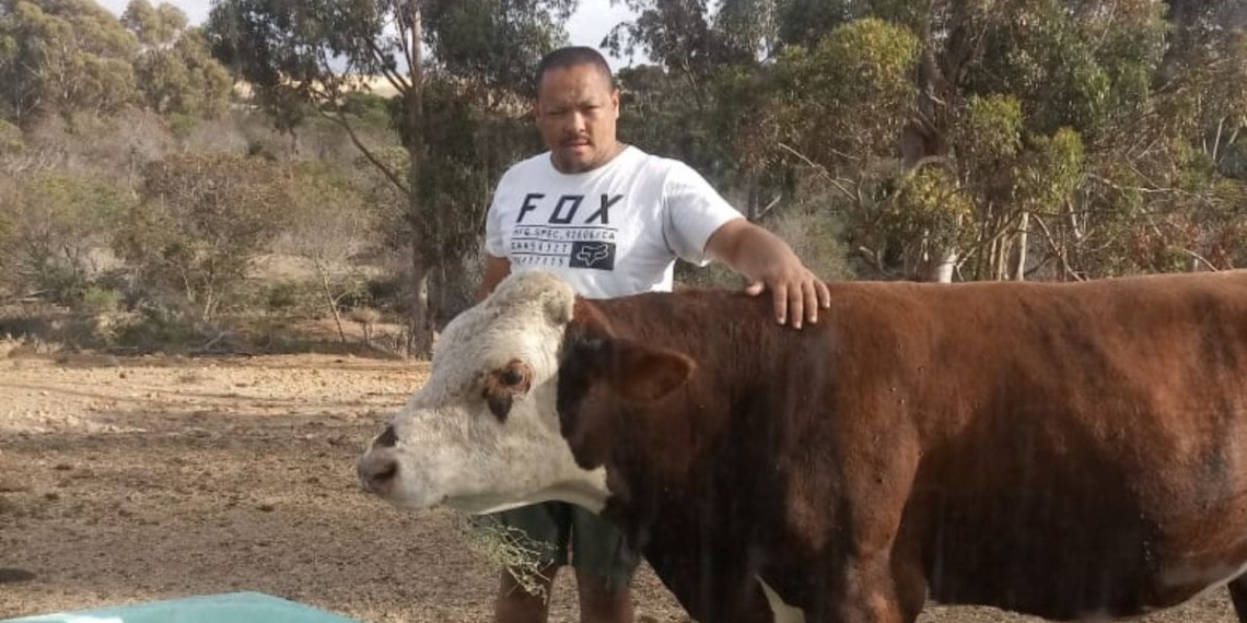 With Voermol, Chris Hess says he is able to keep his animals in good shape all year. Photo: Supplied/Food For Mzansi