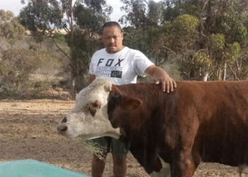 With Voermol, Chris Hess says he is able to keep his animals in good shape all year. Photo: Supplied/Food For Mzansi