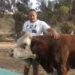 With Voermol, Chris Hess says he is able to keep his animals in good shape all year. Photo: Supplied/Food For Mzansi