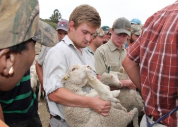 At Peritum Agri Institute in Bloemfontein, students get hands-on agricultural training. Photo: Supplied/Food for Mzansi