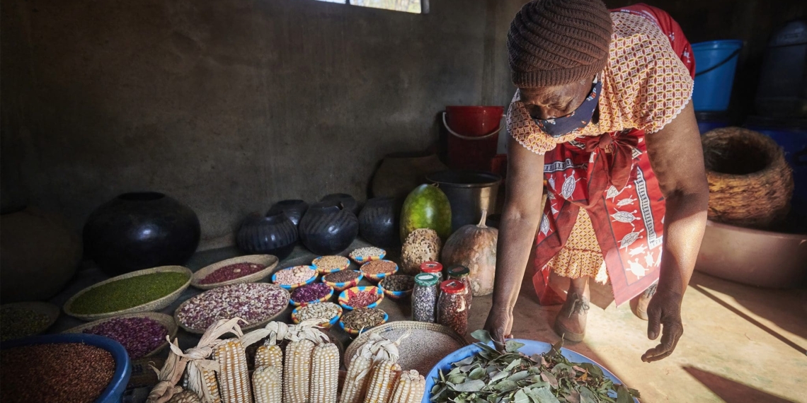 Corinne Mngomezulu, a Biowatch seed custodian and agroecology farmer, with her seed bank in Ingwavuma, a rural area nestled deep in the Umkhanyakude district of KwaZulu-Natal near the South African border with Eswatini.
Photo Supplied/Biowatch South Africa