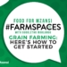 Join Food for Mzansi #FarmSpaces on Monday at 6pm, for advice from expert farmers and insight into taking your grain farming efforts to the next level. Photo: Supplied/Food for Mzansi.