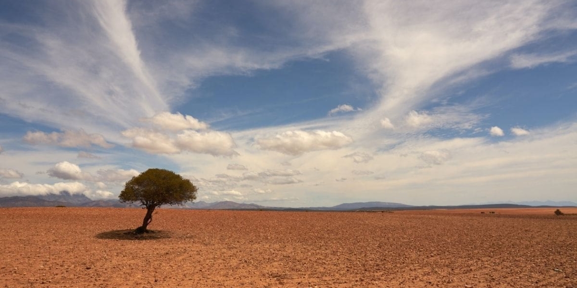 Animal experts reveal that heat stress does not only cause deaths but creates metabolic disruptions, oxidative stress, and immune suppression which causes infections in animals.