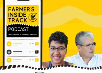 On this week's podcast episode, Dawn Nomedoe and Professor Anthoni van Nieuwkerk talks about Monday's municipal elections. Photo: Supplied/Food For Mzansi
