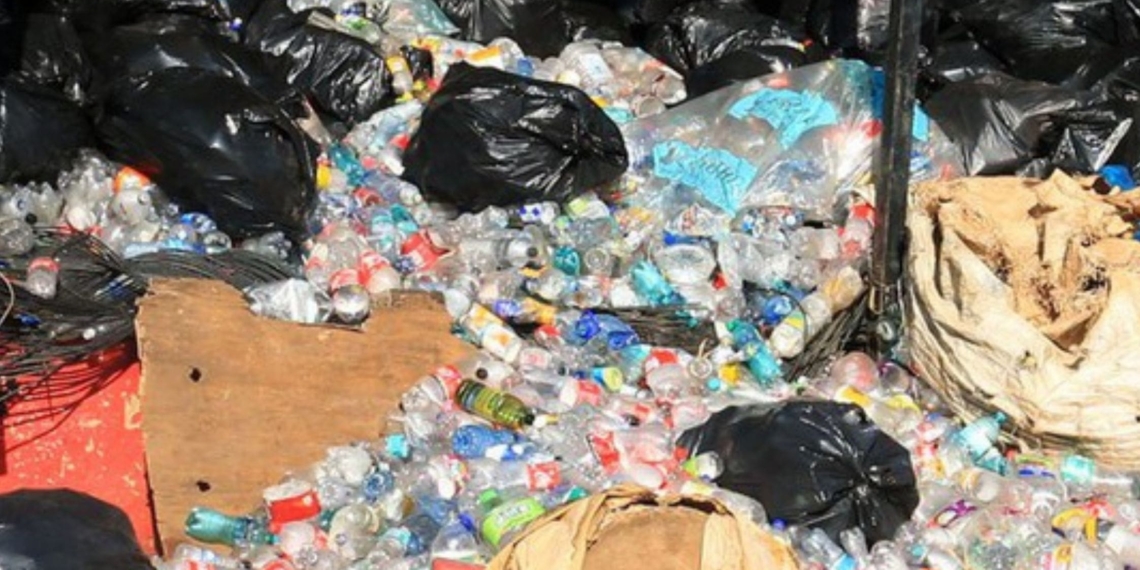 Waste fighters Sbu Shongwe and Bronwyn Jones are flying Mzansi's flag high in the international circuit after winning an international award. Photo: Supplied/GroundUp