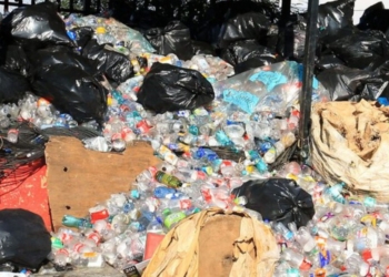 Waste fighters Sbu Shongwe and Bronwyn Jones are flying Mzansi's flag high in the international circuit after winning an international award. Photo: Supplied/GroundUp