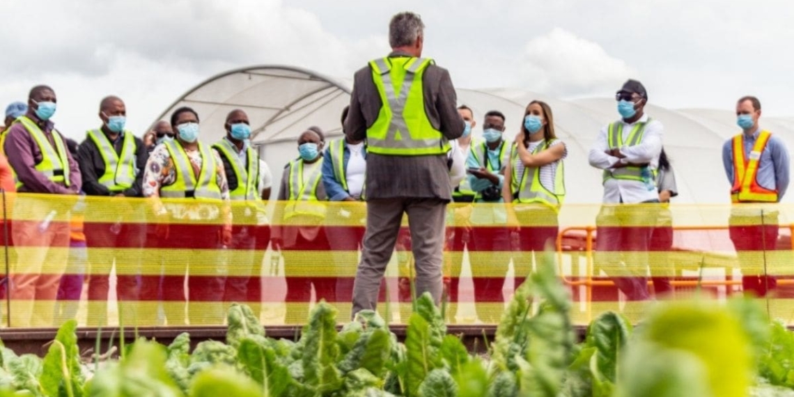 SAB and its partners have released approximately 2.5 billion litres of water into rivers and basins over the past 6 months through watershed investment. Today, SAB is leading with Project Imifino, a one-of-its kind initiative. Photo: Supplied/Food For Mzansi