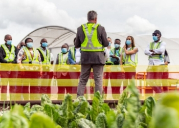 SAB and its partners have released approximately 2.5 billion litres of water into rivers and basins over the past 6 months through watershed investment. Today, SAB is leading with Project Imifino, a one-of-its kind initiative. Photo: Supplied/Food For Mzansi