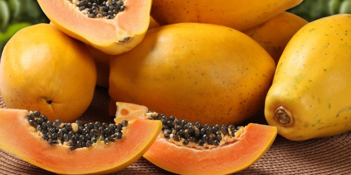 Very few farmers are brave enough to choose papayas as an agricultural crop. With lower demand, the country is also producing considerably lower volumes of the fruit than a few years ago. Photo: Supplied/Food For Mzansi