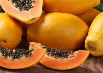 Very few farmers are brave enough to choose papayas as an agricultural crop. With lower demand, the country is also producing considerably lower volumes of the fruit than a few years ago. Photo: Supplied/Food For Mzansi
