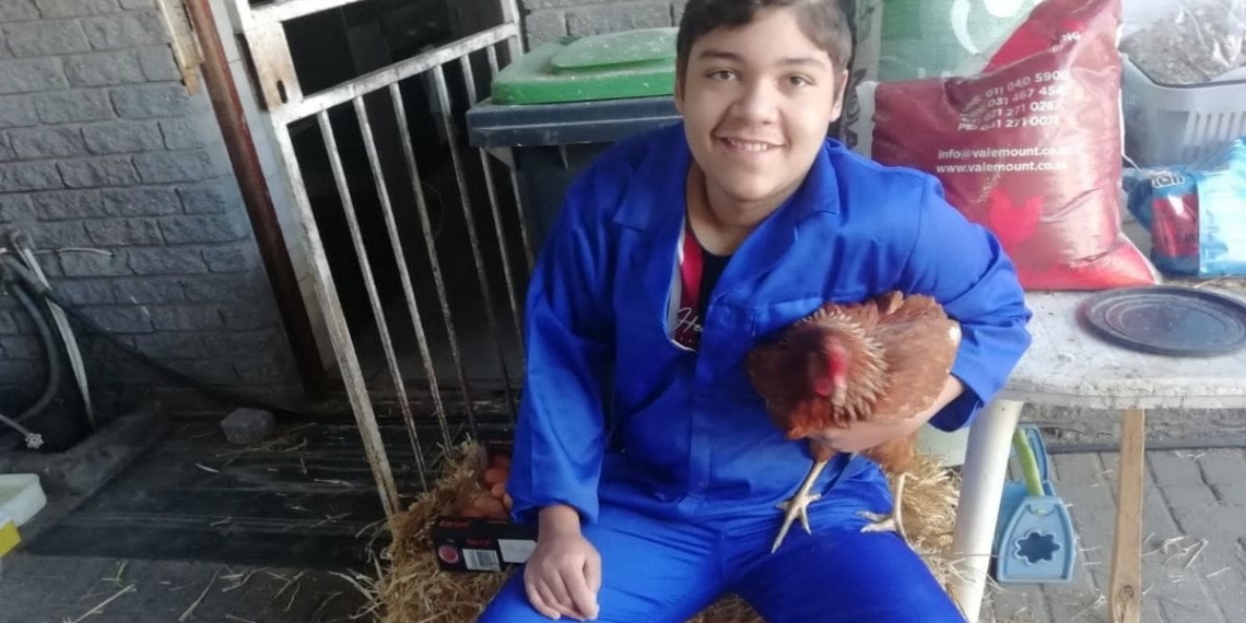 Mzansi, meet your latest “urban farmer”. His name is Cole Oncke. At 14, he is already farming with chickens and vegetables at his parents’ place in Kuils River in the Western Cape. Photo: Supplied/Food For Mzansi