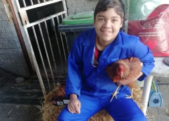Mzansi, meet your latest “urban farmer”. His name is Cole Oncke. At 14, he is already farming with chickens and vegetables at his parents’ place in Kuils River in the Western Cape. Photo: Supplied/Food For Mzansi