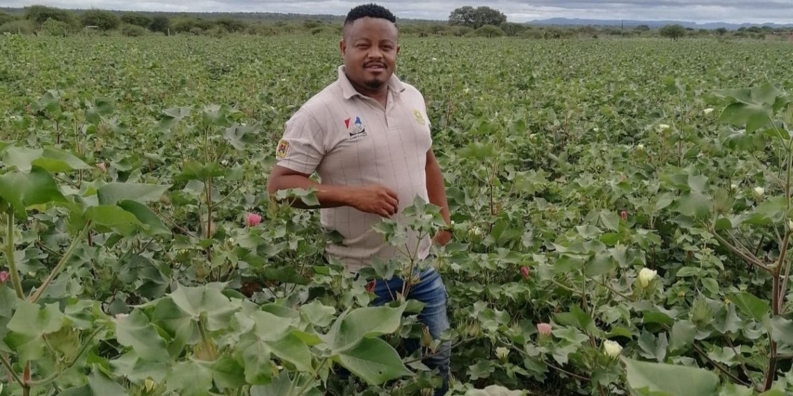 Mahlatse Manamela  is a cotton and livestock farmer from the Lissa-Gakgare village of Limpopo who started farming in 2008. Photo: Food For Mzansi