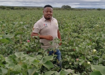 From shepherd boy to commercial farmer