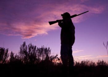 Gun licensing in South Africa is a three-pronged process. Photo: Supplied/Food For Mzansi