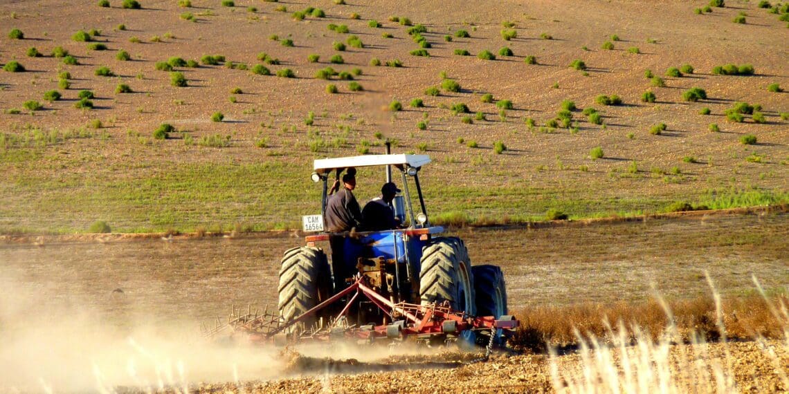Minister Thoko Didiza says she is pleased with the positive agricultural condition at the end of 2021 and looks with optimism towards 2021. Photo: Christopher Griner