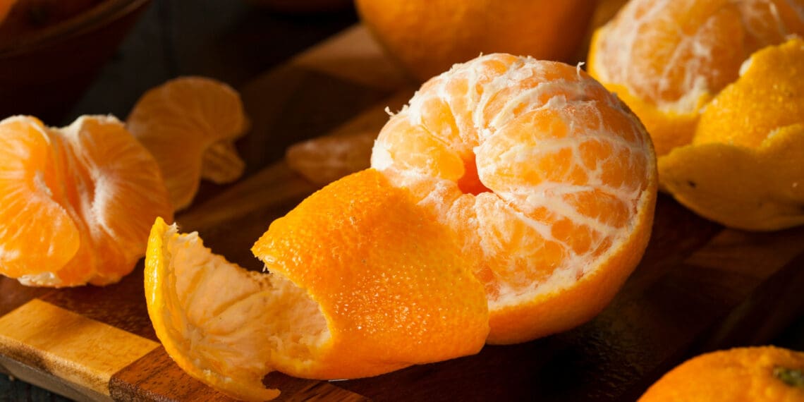 Mzansi was a key contributor to the soft citrus sector that bounced back this year. Photo: Supplied/Food For Mzansi