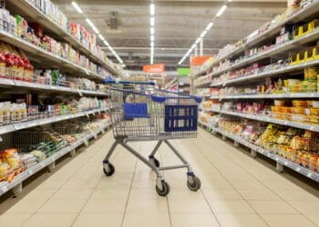 Despite government policies, the agri-food system is still being controlled by the few, argues journalist Magnificent Mndebele. Photo: Supplied/Food For Mzansi