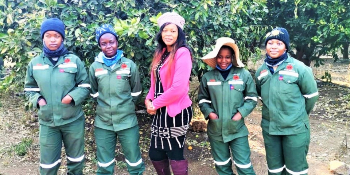 A family, known as the Botlhako Temo agricultural cooperative in North West is making big moves on the international citrus market. The five-member co-op exports their produce to the Middle East and Taiwan. Photo: Supplied/Food For Mzansi