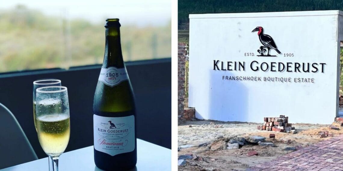 The 116-year-old wine farm Klein Goederust in Franschhoek is re-launching today with a brand-new captain on board. Photo: Supplied/Food For Mzansi