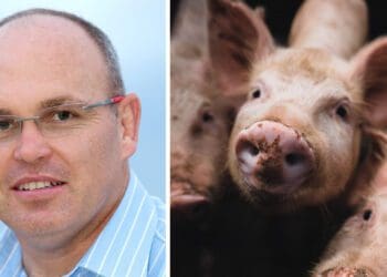 The South African Pork Producers Organisation CEO, Johann Kotzé, believes that adaptability is going to be an essential trait fro future swine farmers. Photo: Supplied SAPPO.