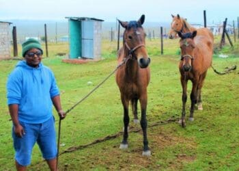 Eastern Cape horse owner Sakhele Ketelo with his mares. Photo: Supplied/Food For Mzansi
