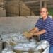 Western Cape farmer Ivan Cloete grows his own barley which he processes into sheep feed. Photo: Duncan Masiwa/Food For Mzansi