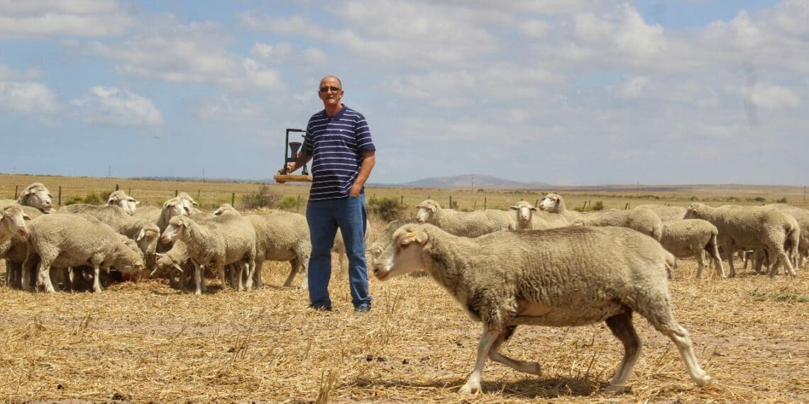 Despite facing great adversity in 2021, Ivan Cloete is hard at work growing his farming business in Darling, Western Cape. Photo: Duncan Masiwa/Food For Mzansi