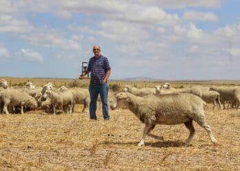 Despite facing great adversity in 2021, Ivan Cloete is hard at work growing his farming business in Darling, Western Cape. Photo: Duncan Masiwa/Food For Mzansi